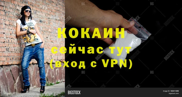 шишки Пролетарск