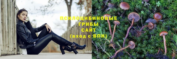 мет Приозерск