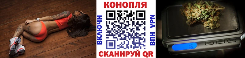 Купить закладки  Карасук  Конопля ГИДРОПОН 
